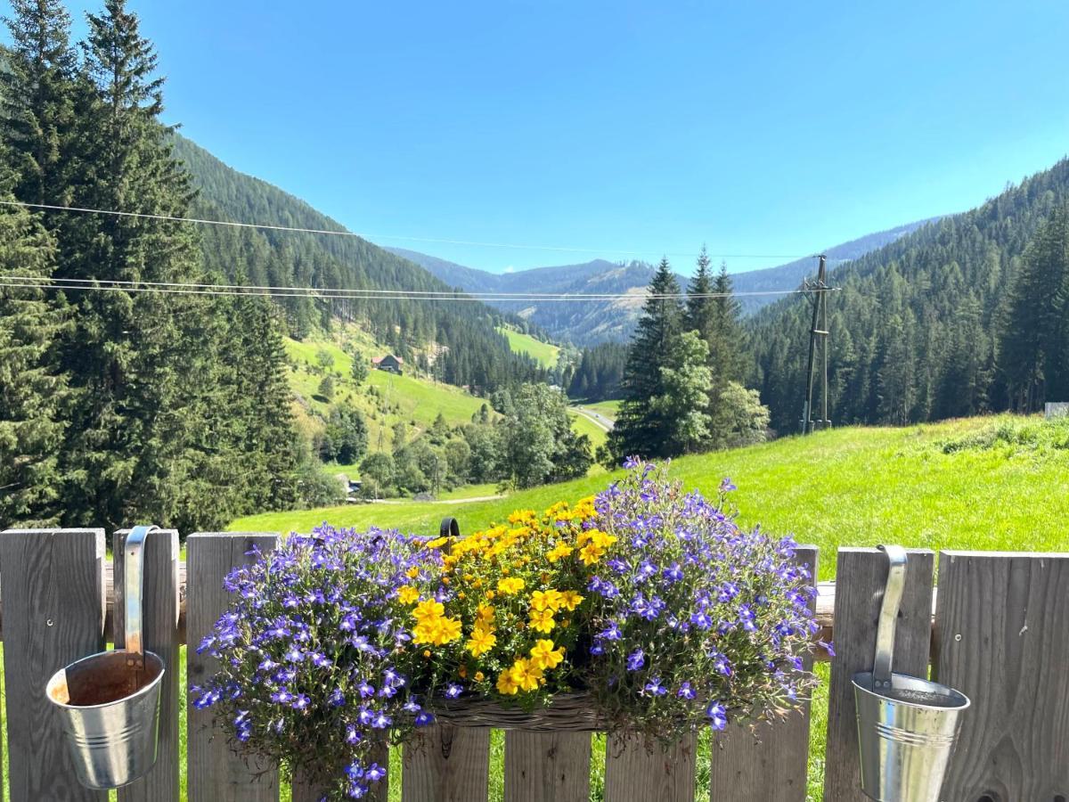 Ferienwohnungen Zum Klammlhof Ebene Reichenau Экстерьер фото
